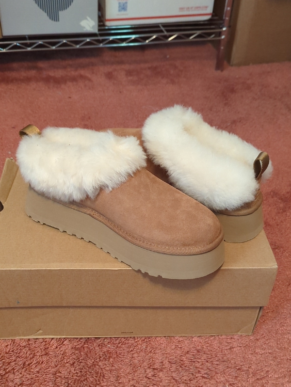 UGG Tazzelle
